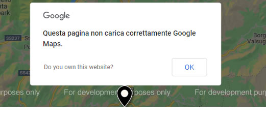 Errore Google Maps