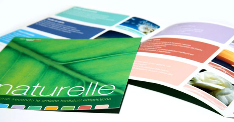 Gioel Brochure